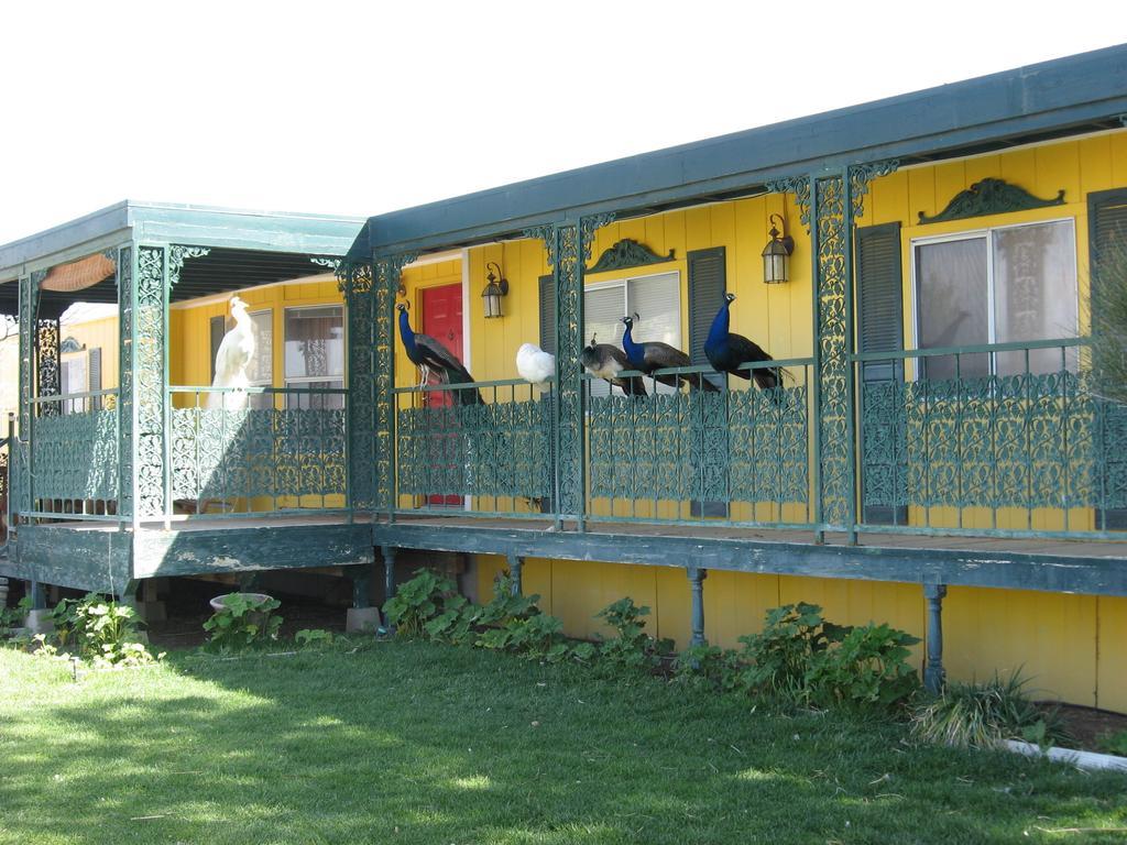 Shady Lady Bed And Breakfast Scottys Junction 외부 사진