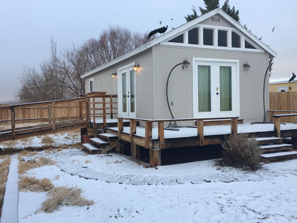 Shady Lady Bed And Breakfast Scottys Junction 외부 사진
