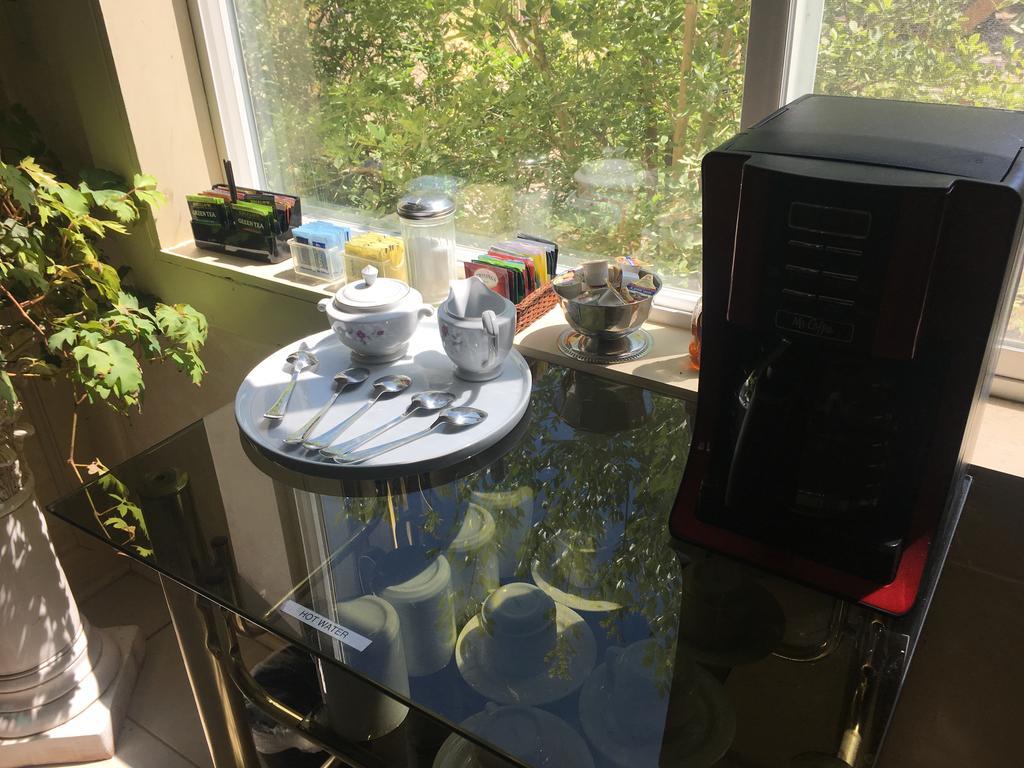 Shady Lady Bed And Breakfast Scottys Junction 외부 사진